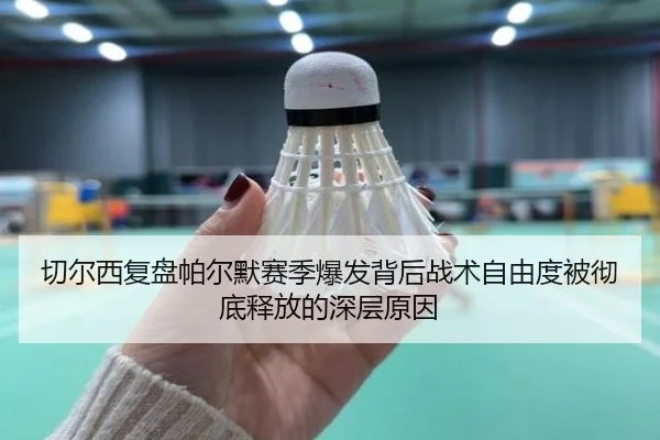 切尔西复盘帕尔默赛季爆发背后战术自由度被彻底释放的深层原因